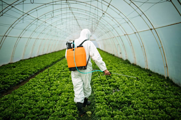 Best Pest Removal Services  in Brunswick, MD