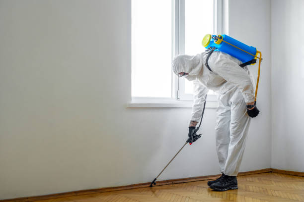 Wildlife Control Services in Brunswick, MD