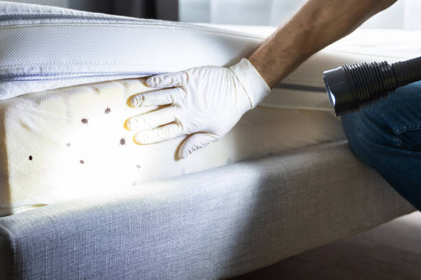 Best Pest Control Near Me in Brunswick, MD