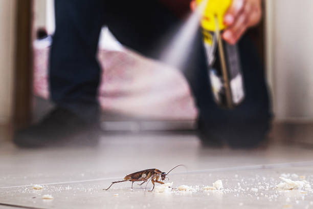Best Commercial Pest Control Services  in Brunswick, MD