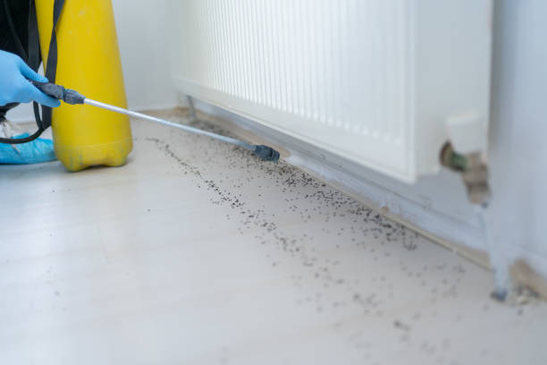 Brunswick, MD Pest Control Company