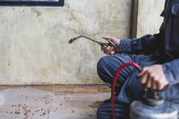 Best Affordable Pest Control Services  in Brunswick, MD