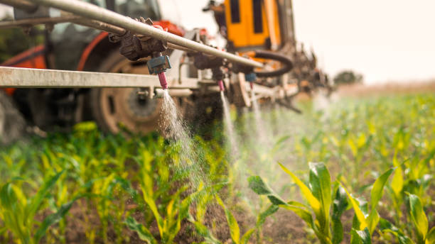 Best Mosquito Control Services  in Brunswick, MD